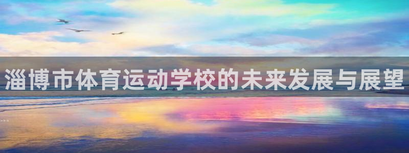 MK体育官方正版app娱乐代理怎么样：淄博市体育运动