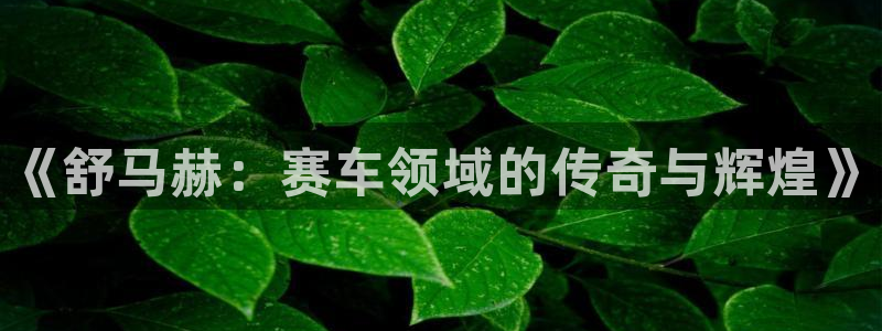 MK体育官方正版app集团官网首页：《舒马赫：赛车领域的传奇