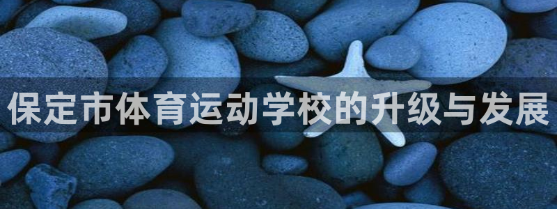 MK体育官方正版app官方