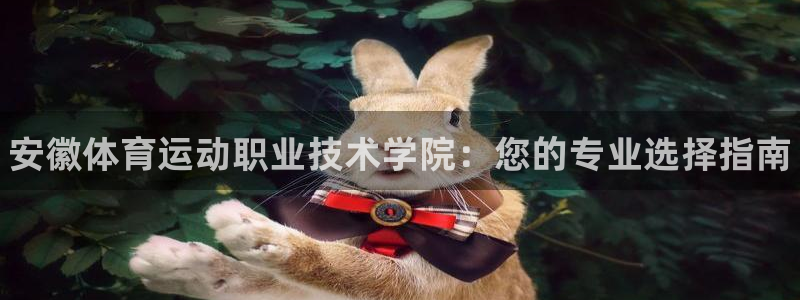 MK体育官网下载招商电话是多少号码