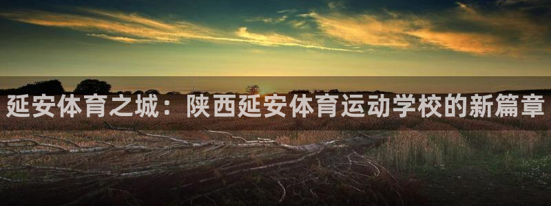 MK体育官网下载招商电话号码查询：延安体育之城：陕西延安体育