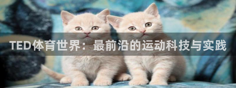 MK体育官网下载平台假的吗是真的吗：TED体育世界：最前沿的