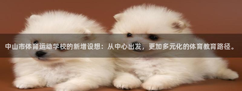 MK体育官网下载平台是正规平台吗：中山市体育运动学校的新增设