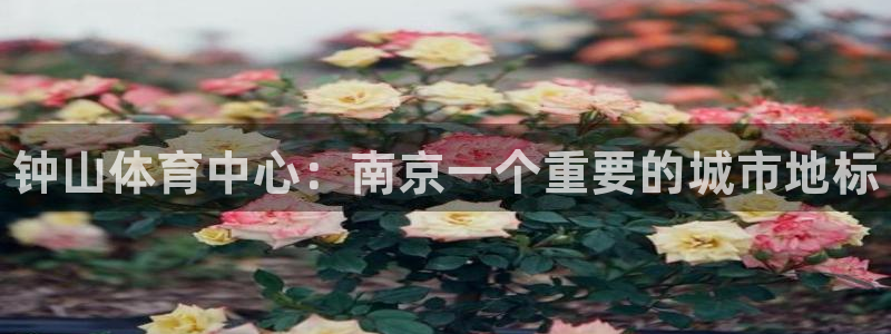MK体育官方正版app娱乐平台：钟山体育中心：南京一个重要的