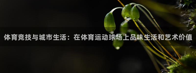 MK体育官网下载平台假的吗是真的吗：体育竞技与城市生活：在体