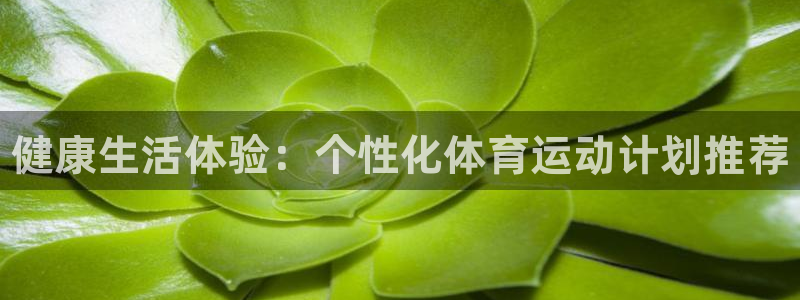 MK体育官方正版app娱乐代理怎么样：健康生活体验：