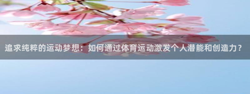 MK体育官网下载平台是正规平台吗安全吗：追求纯粹的运动梦想：