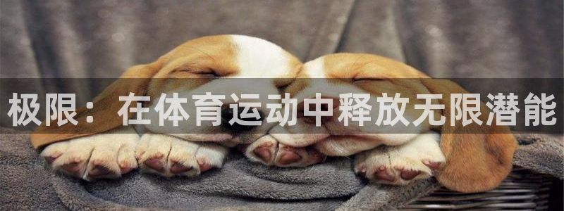 MK体育官方正版app开户