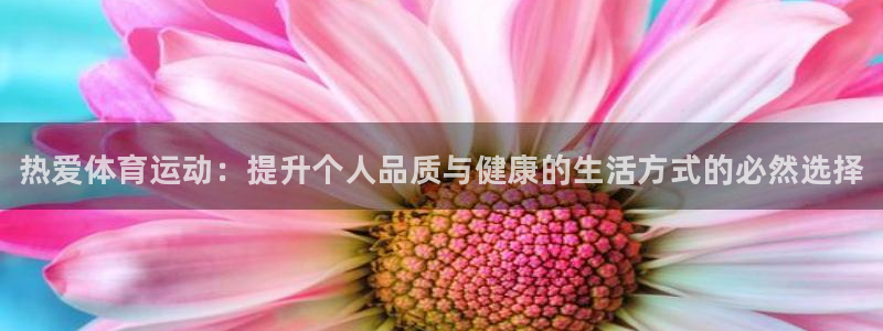 MK体育官方正版app集团官网首页网址：热爱体育运动：提升个