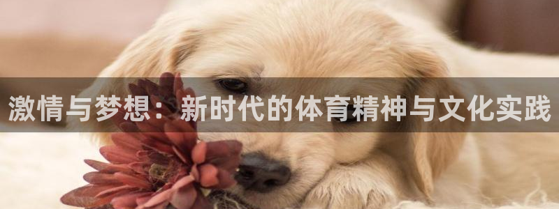 海南MK体育官网下载：激情与梦想：新时代的体育精神与文化实践