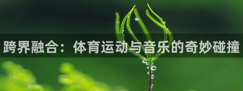 MK体育官网下载招商电话号码：跨界融合：体育运动与音乐的奇妙