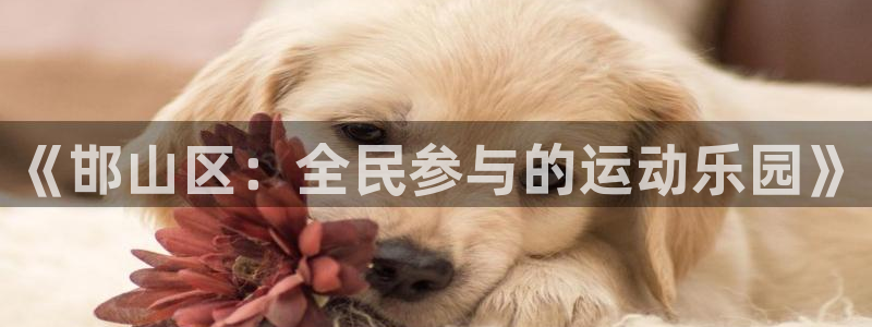 MK体育官方正版app集团官网首页网址：《邯山区：全