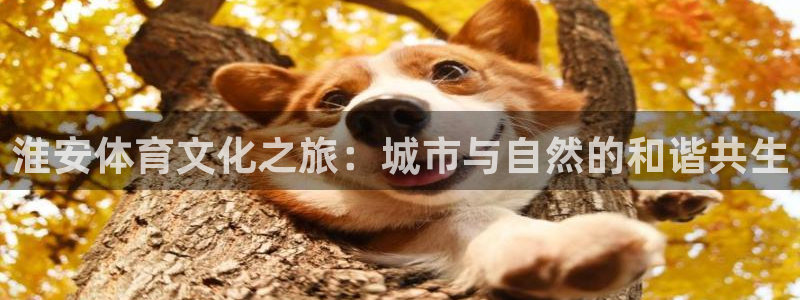 MK体育官网下载平台是正规平台吗安全吗：淮安体育文化