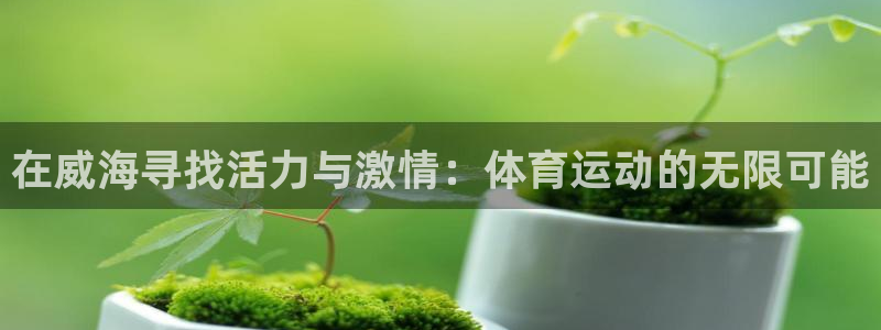 MK体育官方正版app代理：在威海寻找活力与激情：体育运动的
