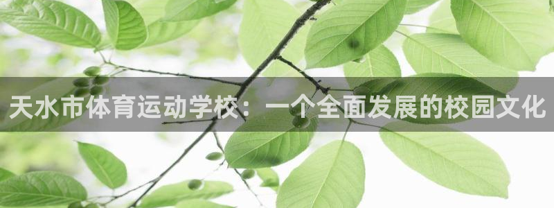 MK体育官方正版app娱乐40996