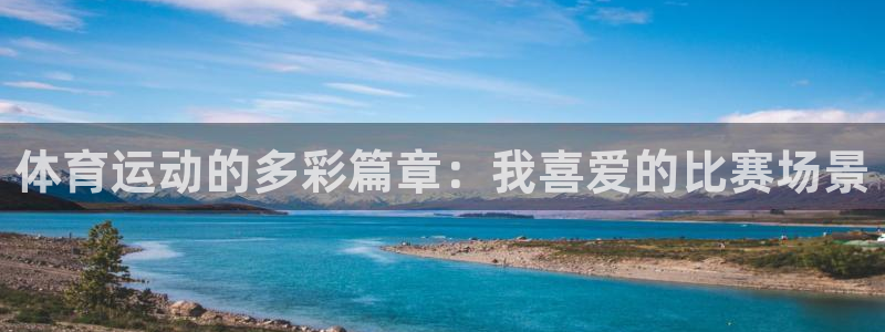 MK体育官网下载是干嘛的公司：体育运动的多彩篇章：我