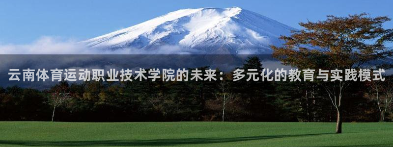 德国MK体育官方正版app集团：云南体育运动职业技术