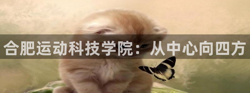 MK体育官网下载招商电话：合肥运动科技学院：从中心向四方