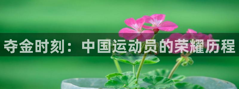 MK体育官网下载官方客服电话：夺金时刻：中国运动员的荣耀历程