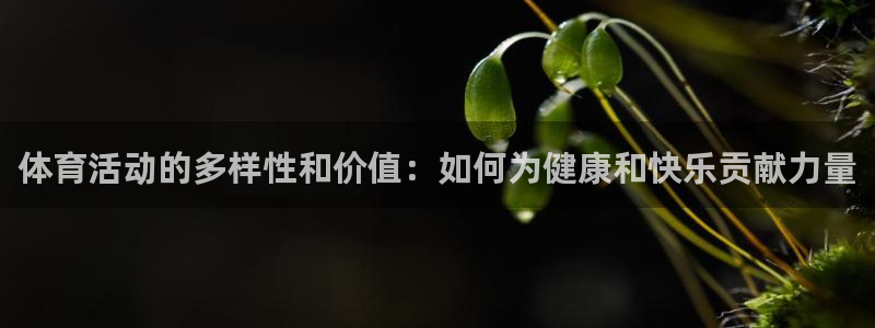 MK体育官网下载平台是正规平台吗：体育活动的多样性和价值：如