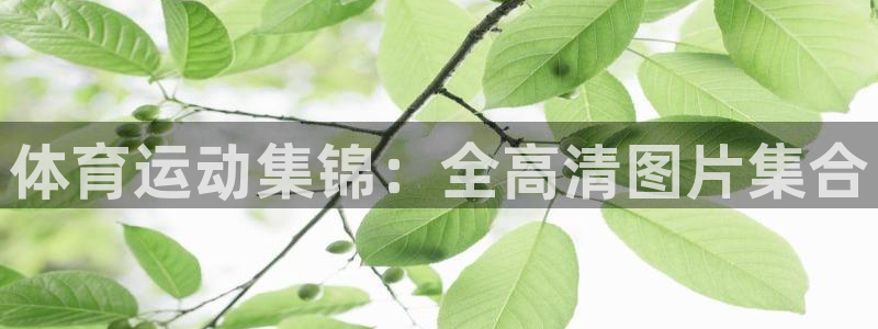 注册MK体育官方正版app：体育运动集锦：全高清图片