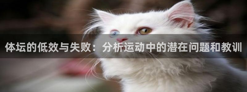 MK体育官方正版app集团简介：体坛的低效与失败：分析运动中