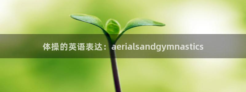 MK体育官网下载平台注册要钱吗是真的吗：体操的英语表达：ae