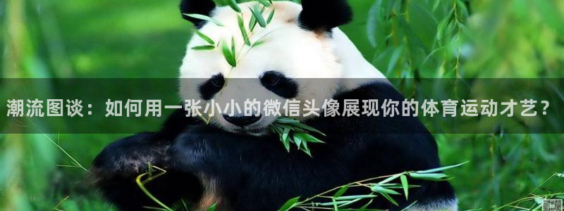 MK体育官网下载平台：潮流图谈：如何用一张小小的微信头像展现