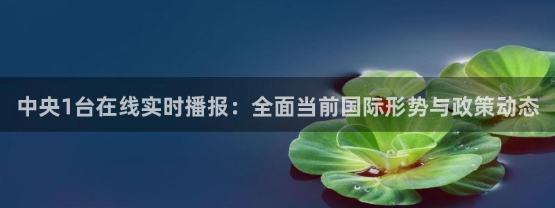 袋鼠足球免费直播：中央1台在线实时播报：全面当前国际形势与政策动态