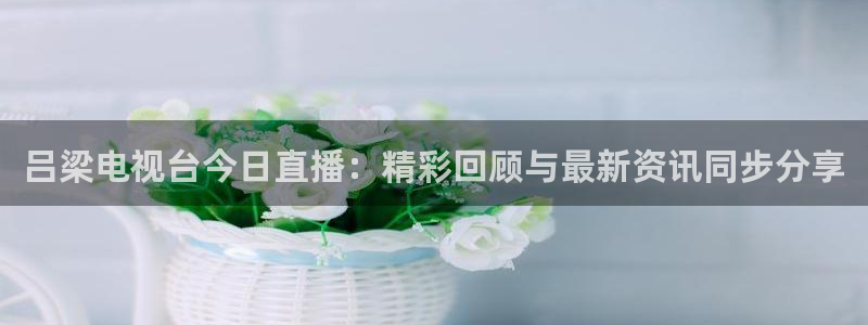 袋鼠直播体育免费直播：吕梁电视台今日直播：精彩回顾与最新资讯同步分享