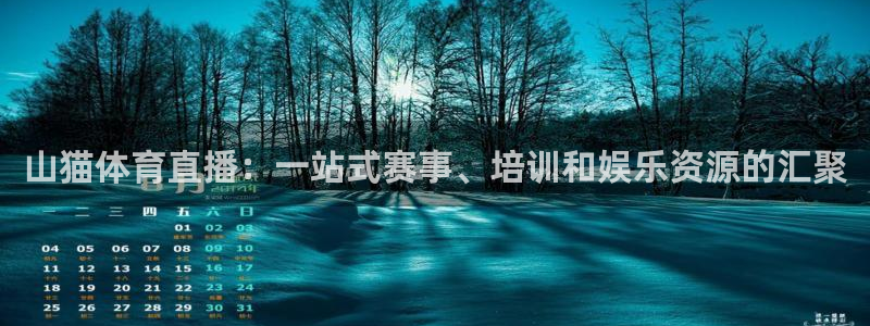 袋鼠直播在线播放：山猫体育直播：一站式赛事、培训和娱乐资源的汇聚