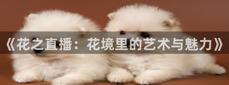 袋鼠体育免费直播观看：《花之直播：花境里的艺术与魅力》