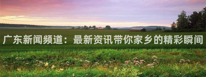 袋鼠nba直播：广东新闻频道：最新资讯带你家乡的精彩瞬间